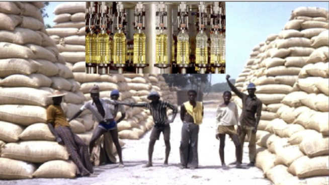 Secteur agroalimentaire et industriel : Grogne des huiliers de Touba Secteur agroalimentaire et industriel : Grogne des huiliers de Touba