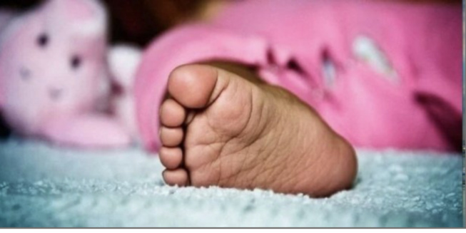 Horreur : le bébé de 2 ans confondu à un lapin, égorgé par... Horreur : le bébé de 2 ans confondu à un lapin, égorgé par...