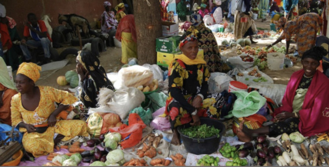 Fête de l’Achoura : hausse des prix au marché Tilène Fête de l’Achoura : hausse des prix au marché Tilène