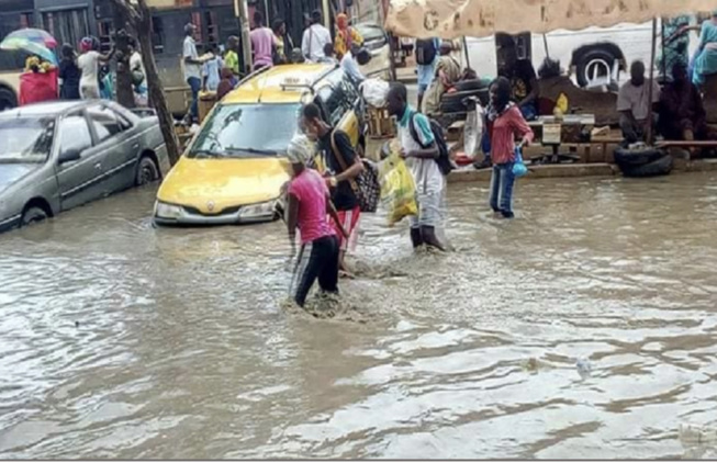 Mermoz : « le sauveur » pris au piège dans les eaux finit par rendre l’âme Mermoz : « le sauveur » pris au piège dans les eaux finit par rendre l’âme