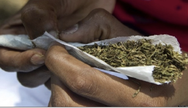 Le jour de son “Ganalé”, de retour de la Mecque : B. Dieng insulte et menace de tuer sa mère Le jour de son “Ganalé”, de retour de la Mecque : B. Dieng insulte et menace de tuer sa mère