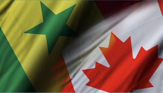 Le passage à tabac d’une diplomate sénégalaise vire à une crise entre Ottawa et Dakar Le passage à tabac d’une diplomate sénégalaise vire à une crise entre Ottawa et Dakar