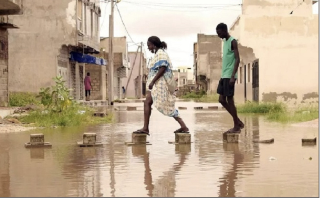 Fortes pluies et gestion débridée des inondations à Dakar : Quand le calvaire des populations prend racine ! Fortes pluies et gestion débridée des inondations à Dakar : Quand le calvaire des populations prend racine !