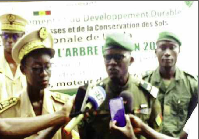 Mamadou Goudiaby, IREF de Kolda : «Le feu de brousse est l’ennemi numéro un de la forêt»