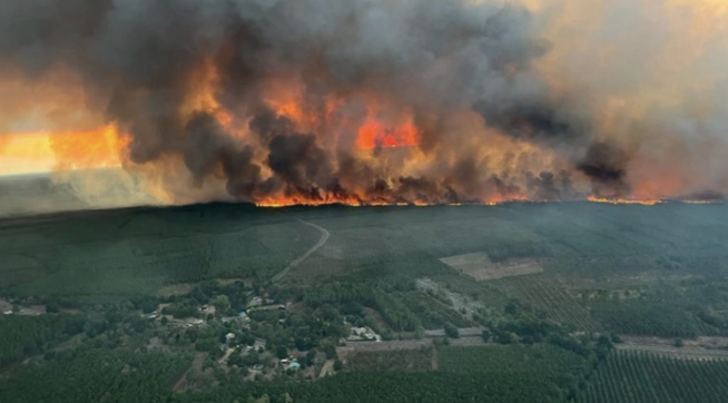Reprise d'un incendie en Gironde: 6000 hectares brûlés et des milliers d'évacués Reprise d'un incendie en Gironde: 6000 hectares brûlés et des milliers d'évacués