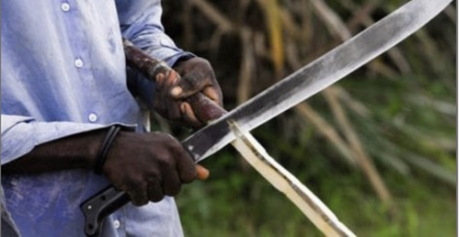 Ndande: Avec sa machette, Bathie Ka écrase le crâne de son père