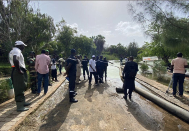 Parc zoologique de Hann / Cl Baïdy Ba: "Dire que la cage des animaux a été envahie par les eaux, c'est..." Parc zoologique de Hann / Cl Baïdy Ba: "Dire que la cage des animaux a été envahie par les eaux, c'est..."