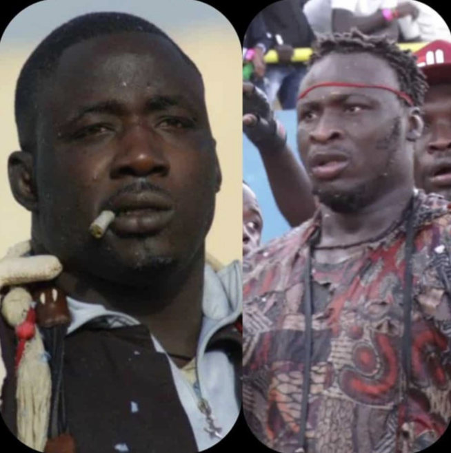 Gris Bordeaux vs Ama Baldé: Le 3ème Tigre déchu va-t-il rebondir devant un taureau plus fort que jamais ? Gris Bordeaux vs Ama Baldé: Le 3ème Tigre déchu va-t-il rebondir devant un taureau plus fort que jamais ?