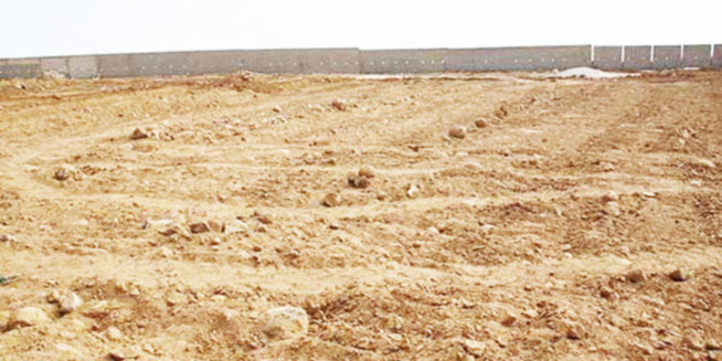 Tong Tong foncier à Dakar: Mbaye Gueye d'EMG, des ténors sous Wade et Mamour Diallo cités Tong Tong foncier à Dakar: Mbaye Gueye d'EMG, des ténors sous Wade et Mamour Diallo cités