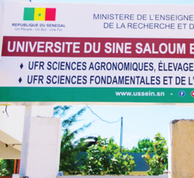 Kaolack Gestion de l’université du Sine Saloum El Hadji Ibrahima Niass : Les enseignants chargent le Rectorat Kaolack Gestion de l’université du Sine Saloum El Hadji Ibrahima Niass : Les enseignants chargent le Rectorat
