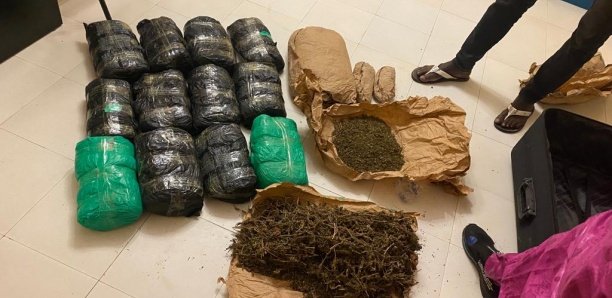 Trafic de drogue à Touba: 5 kg de "yamba" et 20 pièces de haschich saisis Trafic de drogue à Touba: 5 kg de "yamba" et 20 pièces de haschich saisis