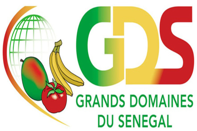 Grands domaines du Sénégal : un mouvement d’humeur des travailleurs Grands domaines du Sénégal : un mouvement d’humeur des travailleurs