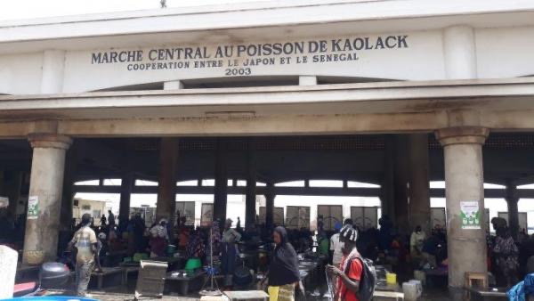 Kaolack: Les mareyeurs ferment le marché aux poissons Kaolack: Les mareyeurs ferment le marché aux poissons