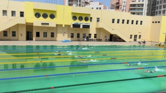 Bataille rangée à la Piscine Olympique: Arrêt des activités de la natation sénégalaise Bataille rangée à la Piscine Olympique: Arrêt des activités de la natation sénégalaise