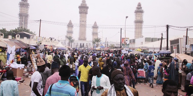 Magal de Touba : le dispositif de lutte contre l’abattage clandestin sera renforcé Magal de Touba : le dispositif de lutte contre l’abattage clandestin sera renforcé