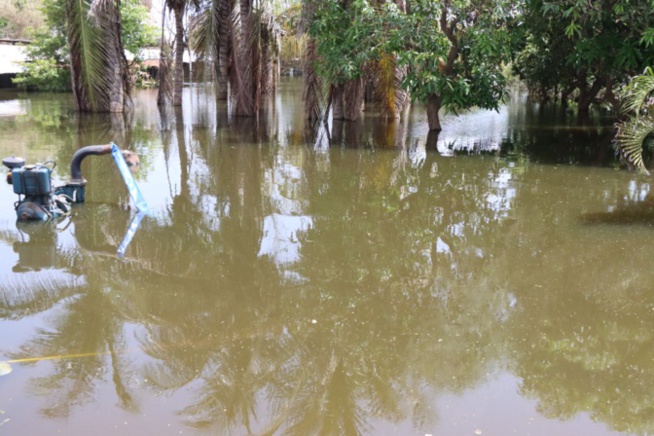 Inondations à Sangalkam: Le ministre Oumar Gueye en visite de terrain préconise des solutions urgentes Inondations à Sangalkam: Le ministre Oumar Gueye en visite de terrain préconise des solutions urgentes
