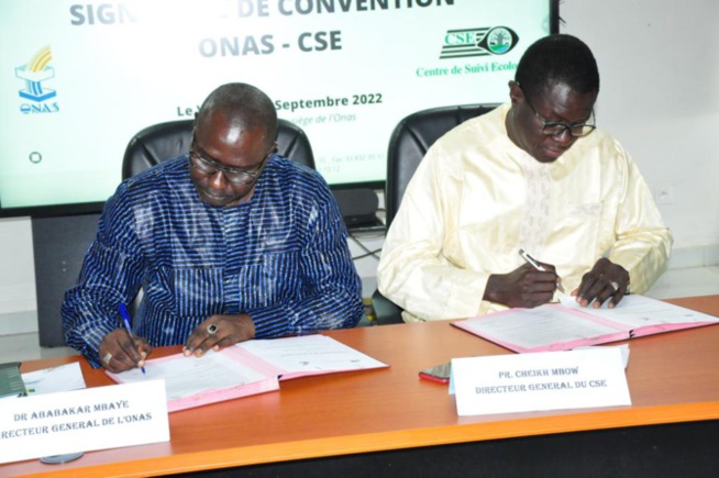 Partages de données géo-spatiales, valorisation des sous-produits de l’assainissement…: L’ONAS et le CSE définissent un champ d’actions Partages de données géo-spatiales, valorisation des sous-produits de l’assainissement…: L’ONAS et le CSE définissent un champ d’actions