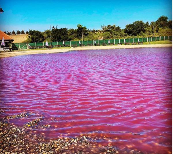 Niague / Trop-plein d’eau au Lac Rose : Hôtels et boutiques d’art impactés par le débordement Niague / Trop-plein d’eau au Lac Rose : Hôtels et boutiques d’art impactés par le débordement