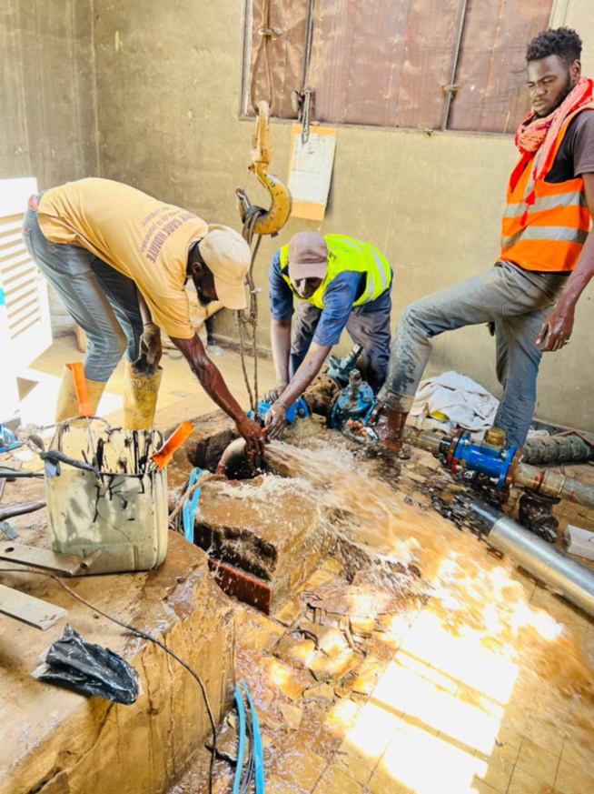 Hydraulique: Le Collectif des travailleurs invite Serigne Mbaye Thiam à "apporter des solutions à leurs revendications" Hydraulique: Le Collectif des travailleurs invite Serigne Mbaye Thiam à "apporter des solutions à leurs revendications"