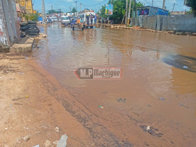 Image du jour : A Darou Mouhty, après la pluie c'est le..... !