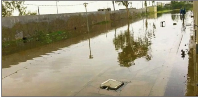 Dégâts des inondations à Fatick : Des maisons sous les eaux, des cases tombées, des champs submergés…