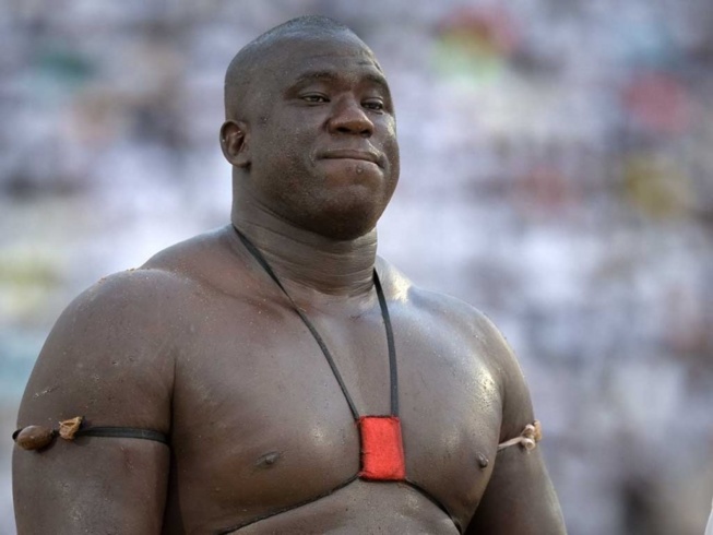 Les voyants de Fatick annoncent sa retraite : Yékini va quitter en 2015 avec une victoire Les voyants de Fatick annoncent sa retraite : Yékini va quitter en 2015 avec une victoire