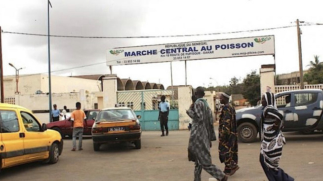 Jeu trouble de Pape Sagna Mbaye : Le Marché central au poisson privé d’eau par la Sen'Eau