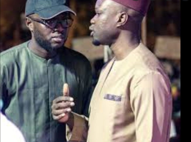 El Malick Ndiaye: « Ousmane Sonko est devenu un bien public africain » El Malick Ndiaye: « Ousmane Sonko est devenu un bien public africain »