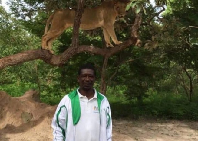 "Véhicule de la mairie de Ziguinchor aux couleurs de Pastef": L'incroyable revirement de Mary Teuw Niane "Véhicule de la mairie de Ziguinchor aux couleurs de Pastef": L'incroyable revirement de Mary Teuw Niane