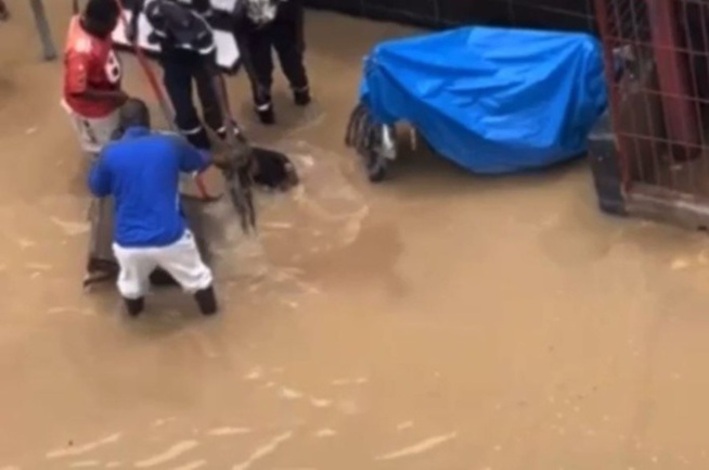 Koumpentoum / Conséquence des vents forts et des fortes pluies du week-end : Médina Kanène Malick et Ndiobène 2, rayés de la carte Koumpentoum / Conséquence des vents forts et des fortes pluies du week-end : Médina Kanène Malick et Ndiobène 2, rayés de la carte