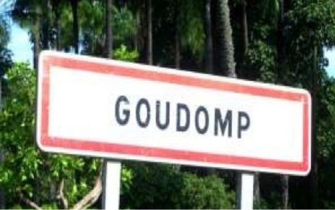 Sédhiou : A-Goudomp un dénuement asphyxiant à l’origine de la pauvreté : une voix émouvante de la jeunesse interpelle le président Macky Sédhiou : A-Goudomp un dénuement asphyxiant à l’origine de la pauvreté : une voix émouvante de la jeunesse interpelle le président Macky