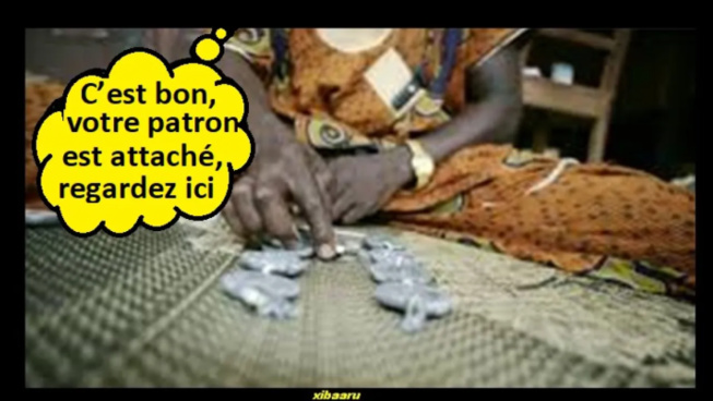 Ouragan de limogeages…les directeurs généraux courent vers les marabouts Ouragan de limogeages…les directeurs généraux courent vers les marabouts