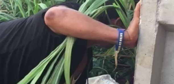 Elle tue sa domestique puis jette le corps dans un buisson Elle tue sa domestique puis jette le corps dans un buisson