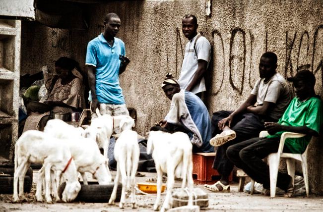 Emploi du temps/ ANSD: « Les Sénégalais passent 17 heures de temps sans activité » Emploi du temps/ ANSD: « Les Sénégalais passent 17 heures de temps sans activité »