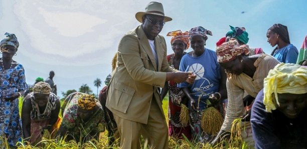 PAP2A et Souveraineté alimentaire (Par Djibril Gueye) PAP2A et Souveraineté alimentaire (Par Djibril Gueye)