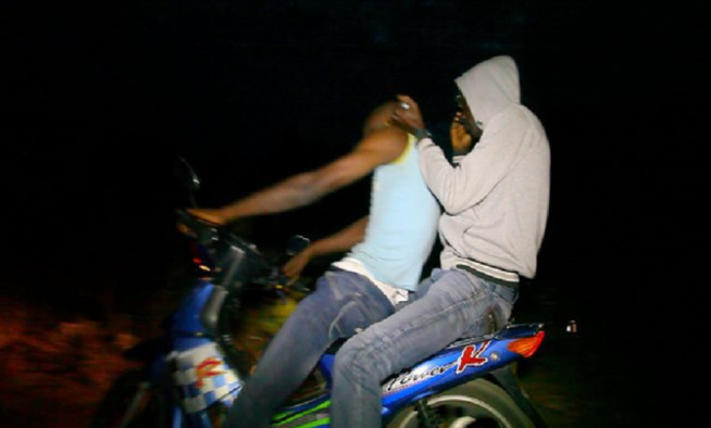 Sécurité routière à Kolda : Vers l’assainissement du secteur du transport de vélo-taxi Sécurité routière à Kolda : Vers l’assainissement du secteur du transport de vélo-taxi