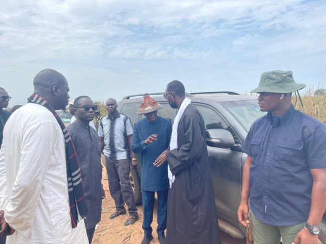 Khelcome 2022 en images des récoltes avec le Dieuwrigne Cheikh Amar dans les champs de Serigne Saliou Khelcome 2022 en images des récoltes avec le Dieuwrigne Cheikh Amar dans les champs de Serigne Saliou