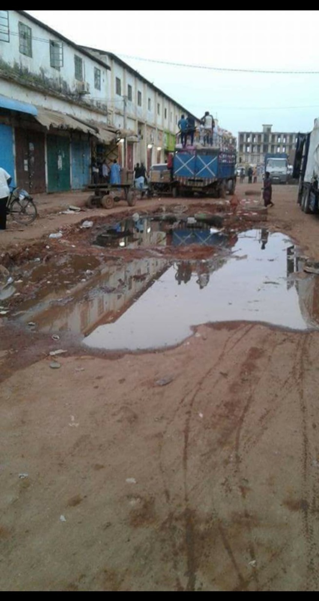 "Adama Barro Président le plus nul": Cheikh Bara Ndiaye déclaré persona no grata en Gambie par le Collectif Républicain "Adama Barro Président le plus nul": Cheikh Bara Ndiaye déclaré persona no grata en Gambie par le Collectif Républicain