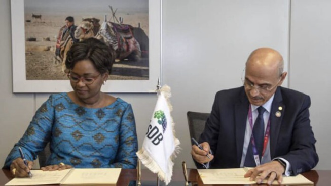 Sénégal – BID : Tout savoir des nouveaux accords signés par le nouveau ministre de l’Économie Sénégal – BID : Tout savoir des nouveaux accords signés par le nouveau ministre de l’Économie