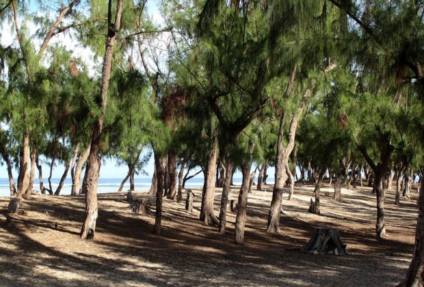 Lotissement à Guédiawaye : Les attributaires des terrains accusent Mame Boye Diao Lotissement à Guédiawaye : Les attributaires des terrains accusent Mame Boye Diao