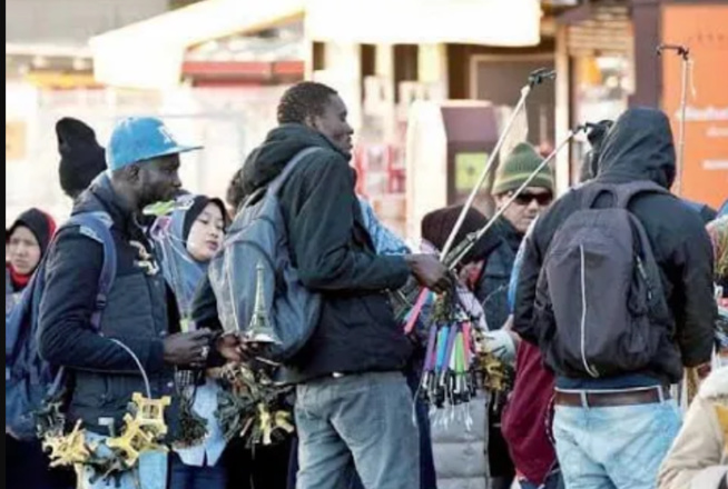 Situation des Sénégalais de l'extérieur : "Il y a des morts entre Mexique et USA, ce qu'on attend... Situation des Sénégalais de l'extérieur : "Il y a des morts entre Mexique et USA, ce qu'on attend...