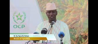 Agriculture : Les producteurs Sénégalais ont reçu un don de 25.000 tonnes d'engrais de l'OCP.