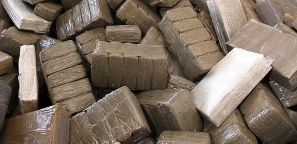 Pikine : un trafiquant de cocaïne arrêté, il s’était approvisi Pikine : un trafiquant de cocaïne arrêté, il s’était approvisi