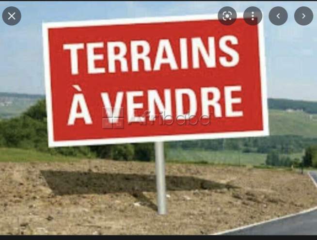 URGENT: Lot de parcelles de 500m2 à vendre sur la rte de Darou Mousty contact 77 614 34 17 URGENT: Lot de parcelles de 500m2 à vendre sur la rte de Darou Mousty contact 77 614 34 17