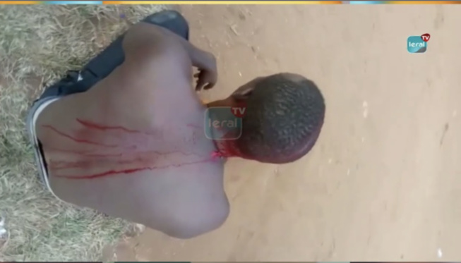 Incidents de Tchiky : Trois gardes du corps de Ousmane Sonko arrêtés au tribunal de Dakar et transférés à Mbour Incidents de Tchiky : Trois gardes du corps de Ousmane Sonko arrêtés au tribunal de Dakar et transférés à Mbour