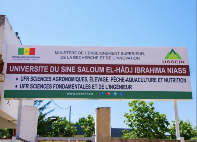 Université du Sine Saloum El Hadji Ibrahima Niass : Le campus de Fatick dépourvu de tout Université du Sine Saloum El Hadji Ibrahima Niass : Le campus de Fatick dépourvu de tout