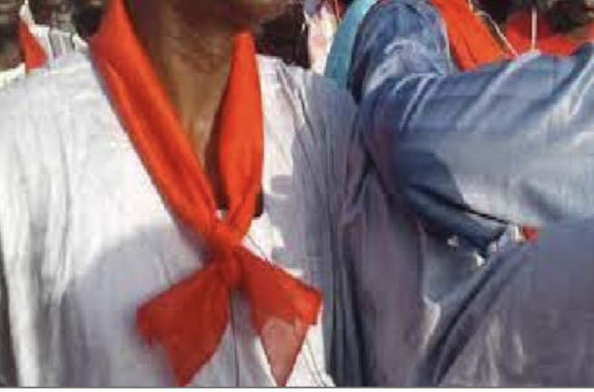 Kaolack / Les capacités des acteurs sociaux en dialogue renforcées : Eviter les instabilités sociales dans le privé et les institutions Kaolack / Les capacités des acteurs sociaux en dialogue renforcées : Eviter les instabilités sociales dans le privé et les institutions