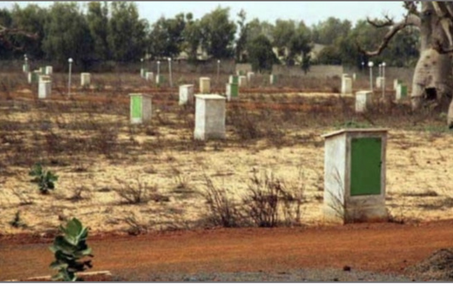 Escroquerie foncière : Une notaire et un avocat grugent un Guinéen de plus d’1/2 milliard FCfa Escroquerie foncière : Une notaire et un avocat grugent un Guinéen de plus d’1/2 milliard FCfa