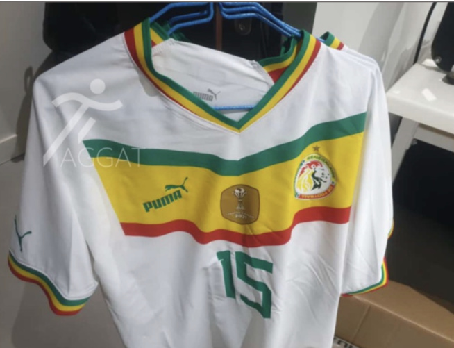 Prix des maillots du Sénégal : Rémy Ngono massacre la Fédération sénégalaise de football Prix des maillots du Sénégal : Rémy Ngono massacre la Fédération sénégalaise de football