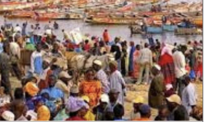 Grève dans le secteur de la pêche : Les mareyeurs exportateurs cessent leurs activités Grève dans le secteur de la pêche : Les mareyeurs exportateurs cessent leurs activités